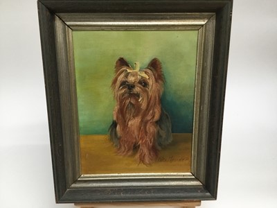 Lot 75 - Peta Maude, oil on board, A Yorkshire Terrier called "Yorkie", signed and dated '74, also inscribed verso, in gilt and wood frame, 29cm x 22cm