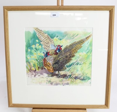 Lot 1027 - Two Peter Partington, contemporary, signed pencil and watercolours- Red Legged Partridge and Displaying Pheasants, both in glazed frames
