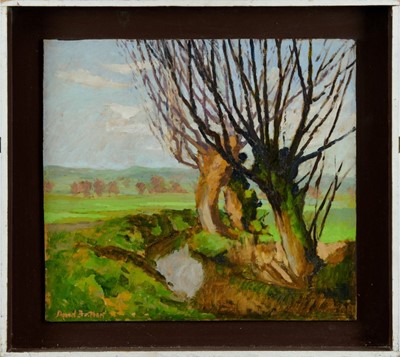 Lot 201 - David Britton, contemporary, oil on board - Somerset Levels near Glastonbury, signed, framed, 38cm x 43cm