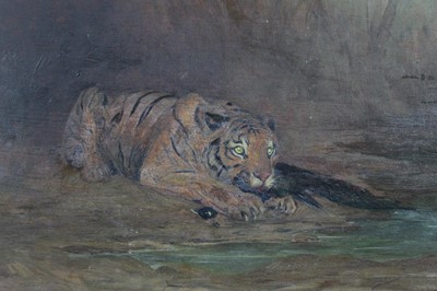 Lot 113 - Late 19th/early 20th century oil on panel - a tiger with its kill, initialled W.S.B, in gilt frame