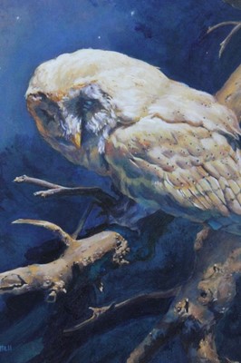 Lot 94 - Robin Bouttell, signed oil on board- Barn Owl by night, framed