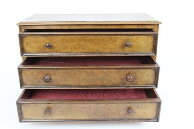 Lot 1939 - Burr walnut three draw collectors cabinet