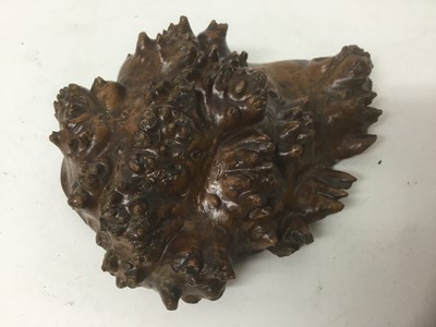 Lot 37 - Rare 19th century Scottish burr walnut snuff box