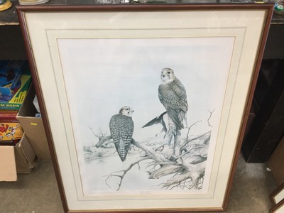 Lot 124 - Terence Lambert - three signed limited edition colour prints - Ornothological studies