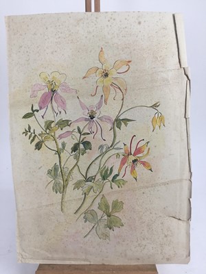 Lot 1168 - Of Sir Cedric Morris and Benton End interest; a collection of works to include drawings by Lucy Harwood