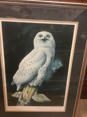 Lot 191 - Signed limited edition print by Barry Driscoll - Snowy owl, with blindstamp, framed