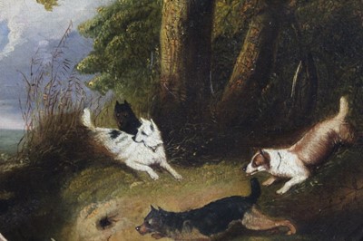 Lot 457 - Attributed to Edward Armfield (1817-1896) oil on canvas - terriers around a rabbit warren, tondo, in gilt frame, 28cm diameter