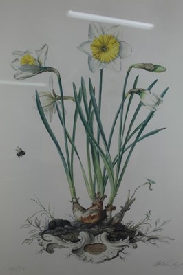 Lot 272 - Graham Rust (b.1942) pair of signed limited edition lithographs - Narcissi, 156/350, in glazed gilt frames, 59cm x 44cm