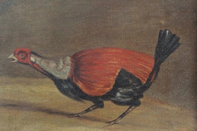 Lot 20 - J. Box, pair of oils on canvas board - Fighting Cocks, signed, in glazed gilt frames, 29cm x 34cm