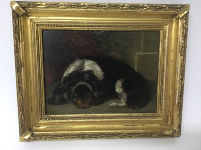 Lot 50 - 19th century English School, oil on board - King Charles spaniel