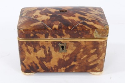 Lot 878 - Regency blond tortoiseshell tea caddy
