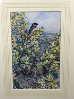 Lot 1023 - Peter Partington, contemporary, watercolour - Stonechats, signed, in glazed gilt frame, 23cm x 14cm