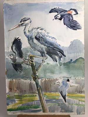 Lot 1022 - Peter Partington, contemporary, collection of eleven unframed watercolours - assorted birds to include Sea, Wildfowl and Song, various sizes