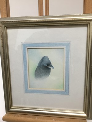 Lot 375 - John Jinman (contemporary) watercolour, Crow, signed, 12 x 10cm, together with another smaller by the same hand, both in glazed frames
