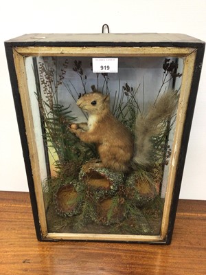 Lot 919 - Victorian Red Squirrel within naturalistic setting in glazed case