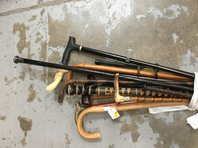 Lot 101 - Group of mixed walking sticks