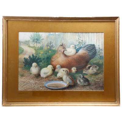 Lot 627 - 19th century English School watercolour study- chicken with her chicks, in glazed gilt frame, 38cm x 55cm and overall frame size 58cm x 75cm