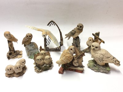 Lot 7 - Nine Border Fine Arts models of owls, some by Ayres