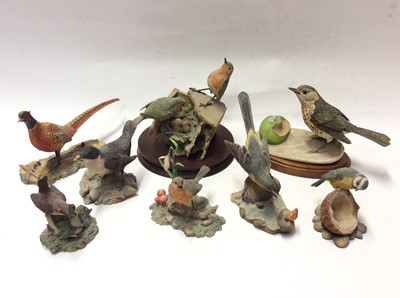 Lot 8 - Eight Border Fine Arts models of birds including a pheasant