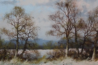 Lot 646 - James Wright (b 1935) oil on board - pair of landscapes