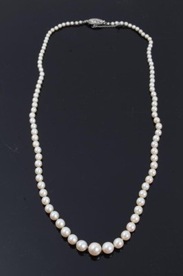 Lot 333 - Cultured pearl necklace (not tested for natural origin) with a string of graduated pearls measuring approximately 2.3mm -6.9mm on a pavé set diamond barrel clasp. Length approximately 48cm, in an a...
