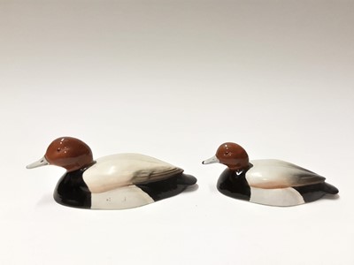 Lot 195 - Two Beswick Peter Scott Pochard Ducks 1520-1 and 1520-2, both boxed