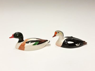 Lot 197 - Two Beswick Peter Scott Ducks - King Eider 1521 and Shelduck 1527, both boxed