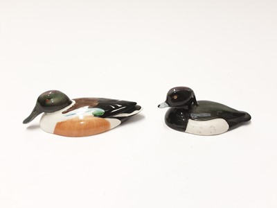 Lot 198 - Two Beswick Peter Scott Ducks - Shoveler 1528 and Tufted Duck, both boxed