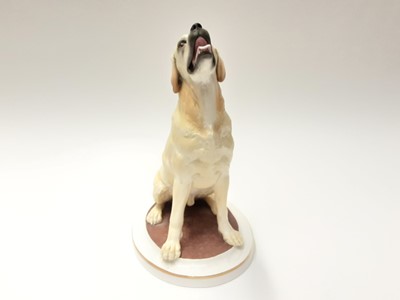 Lot 200 - Impressive Royal Worcester limited edition model - Yellow Labrador by Kenneth Potts, number 33 of 250, with certificate