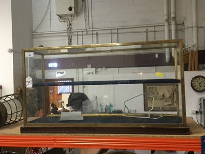 Lot 41 - Good quality table top shop display cabinet of rectangular form, with central shelf and hinged rear door, approximately 66 x 33 x 20.5cm