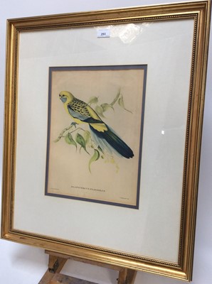 Lot 293 - Pair of decorative John Gould bird prints in glazed gilt frames, together with another similar pair (4)