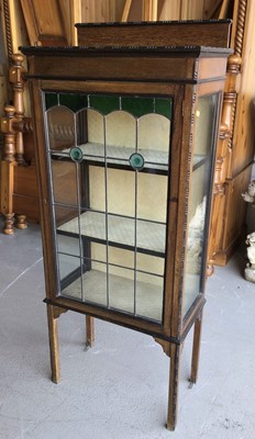 Lot 5 - Early 20th century glazed display cabinet