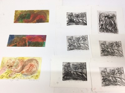 Lot 248 - Annelise Firth (b.1961) folio of monoprints and etchings- cat studies