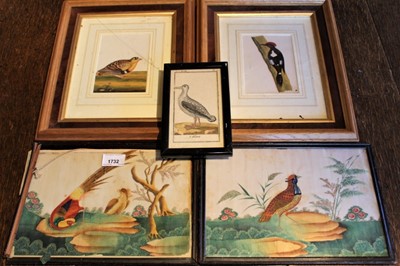 Lot 1732 - Pair of 19th century Chinese paintings on pith paper of birds, 16 x 26cm, together a pair of 19th century watercolour pictures of birds and 18th century hand coloured engraving of a bird
