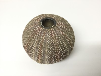 Lot 120 - Novelty vesta globe formed from a sea urchin