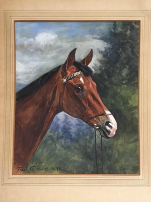 Lot 999 - Karl Volkers (1868-1944), Gouache of horse, signed and dated 1893