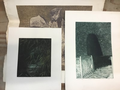 Lot 117 - Norman Stevens (1831-1888) three signed prints