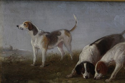 Lot 1013 - Edward Smythe - three oil sketches of hounds