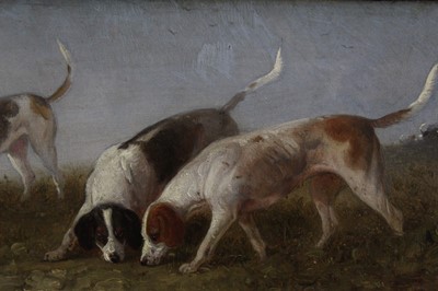 Lot 1013 - Edward Smythe - three oil sketches of hounds