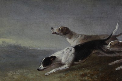 Lot 1013 - Edward Smythe - three oil sketches of hounds