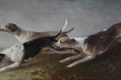 Lot 1013 - Edward Smythe - three oil sketches of hounds