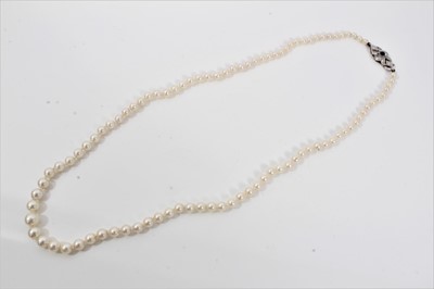 Lot 517 - Cultured pearl necklace with a string of graduated cultured pearls measuring approximately 7.25mm to 3.35mm on a good quality 18ct white gold diamond and sapphire clasp. Length approximately 51cm....