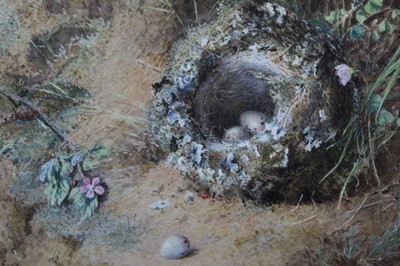 Lot 1202 - W. Foster, late 19th century, watercolour - a birds nest, signed, in glazed gilt frame, 17cm x 22cm 
Provenance: The descendants of Edward and Evelyn Grindlay. Removed from Westcott, Dorking