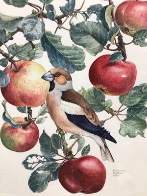 Lot 109 - Benjamin Perkins (b1932) watercolour Chaffinch