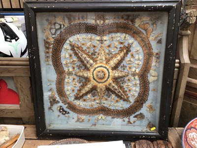 Lot 32 - Fine late Victorian display of butterflies and moths, the cantered star motif surrounded by further design, in glazed case, 73cm square 
Provenance: The Robert Barley Collection