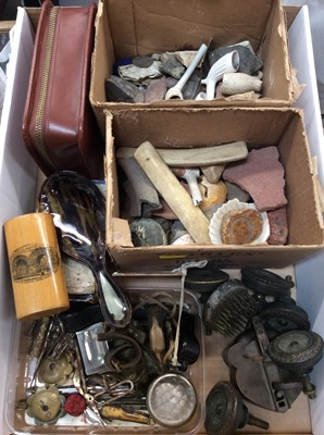 Lot 477 - Group of fossils, shells, clay pipe parts, buckles, whistles, vintage perfume bottles, miniature penknives, door furniture and mauchline ware needle case