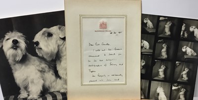 Lot 1501 - Of Royal Interest: circa 1955 Interesting collection of correspondence and photographs relating to Princess Margaret’s Sealyham Terrier ‘Johnny’