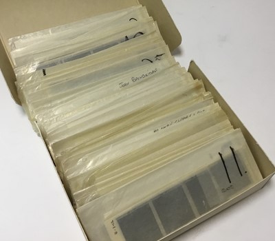 Lot 1513 - Pamela Chandler (1928-1993): Large collection of proof photos and negatives of portrait subjects