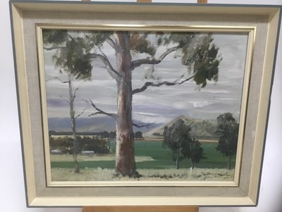 Lot 163 - John Attwood (20th century) oil on board, eucalyptus trees