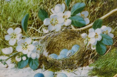 Lot 187 - William Cruickshank (1848-1922) pair of oval watercolours on ivory - Still Life